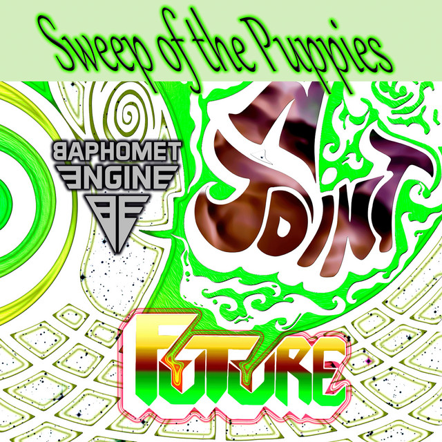 Sweep of the Puppies