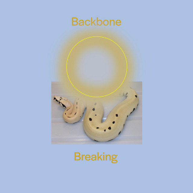 Backbone cover art