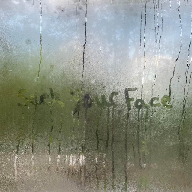 Seek Your Face