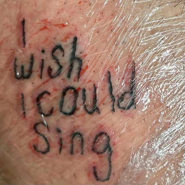 I wish I could sing (demos) cover art