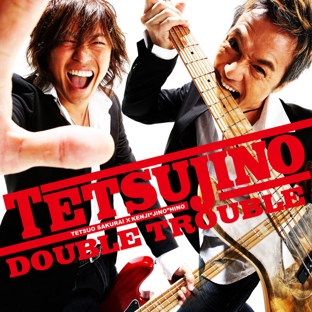 DOUBLE TROUBLE cover
