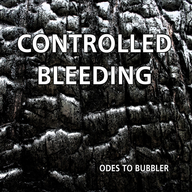 Odes to Bubbler cover art