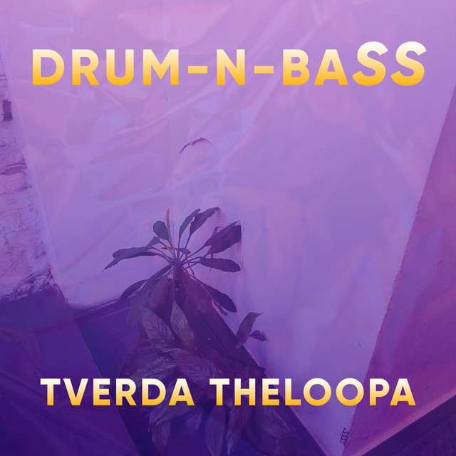Обкладинка TVERDA THELOOPA — DRUM-N-BASS