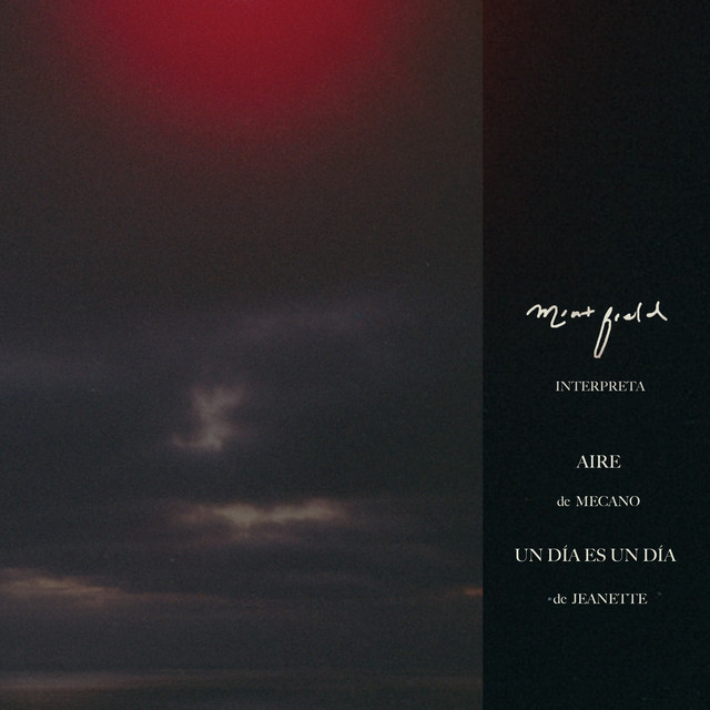 Soñé cover art