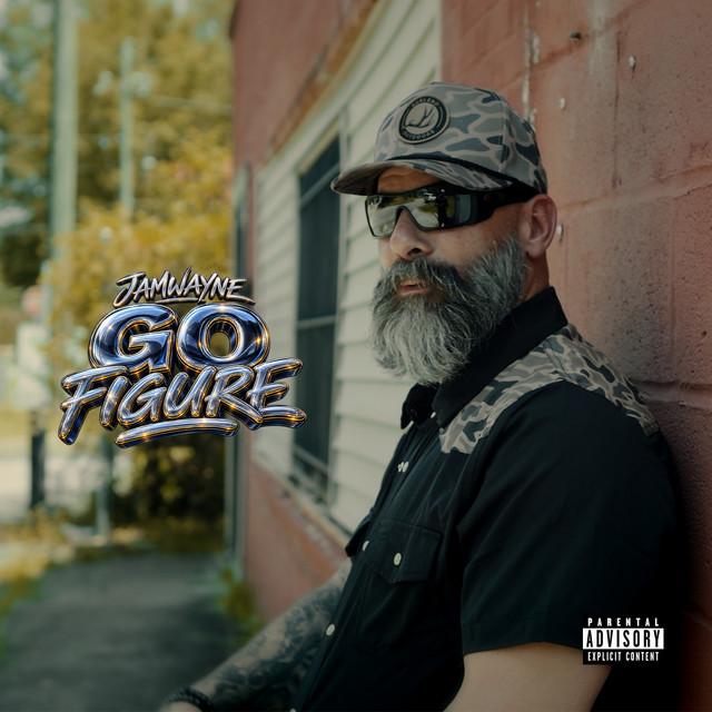 Go Figure album image