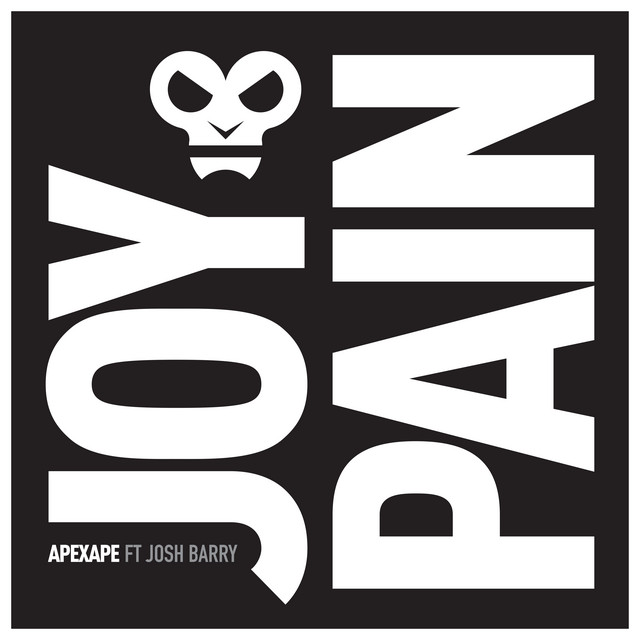 Joy & Pain (feat. Josh Barry - Radio Edit) cover art