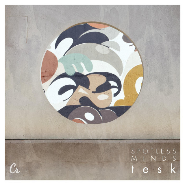 Spotless Minds cover art