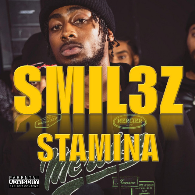 STAMINA cover art