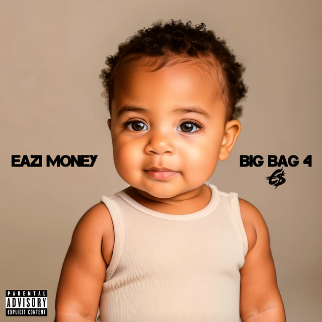 Big Bag 4 cover art