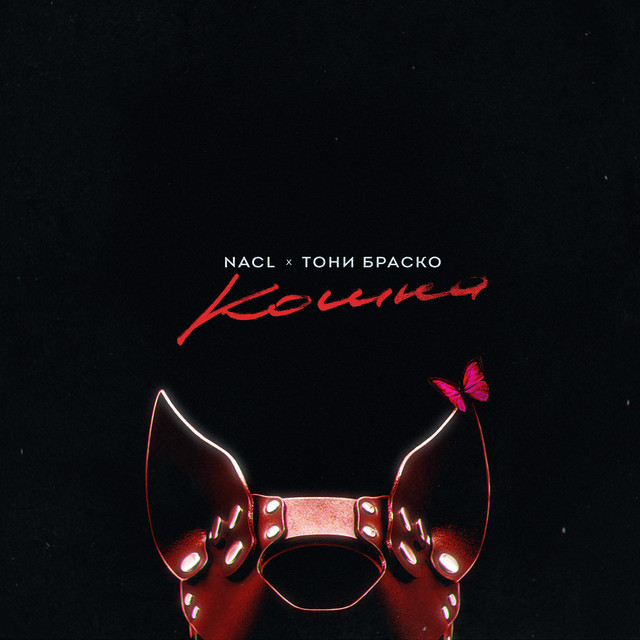 Cover art: Кошка — NaCl