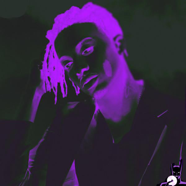 Bag cover art