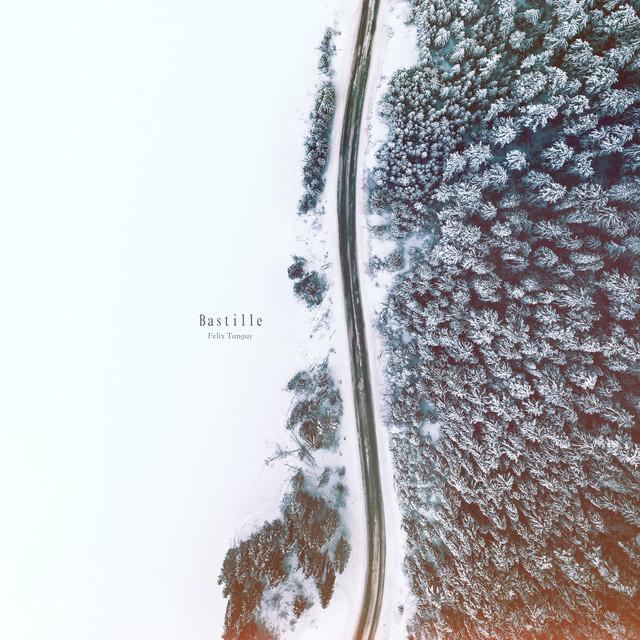 Bastille by Felix Tanguy