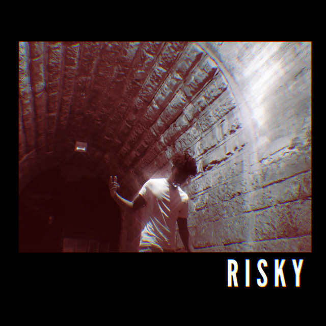Risky cover art