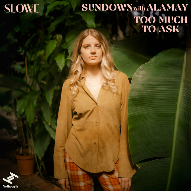 Sundown / Too Much to Ask cover art