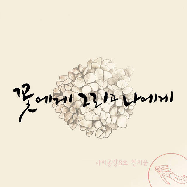 나비 Photo
