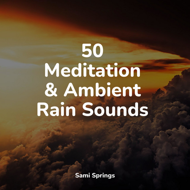 50 Meditation & Ambient Rain Sounds - Album by Rain For Deep Sleep ...