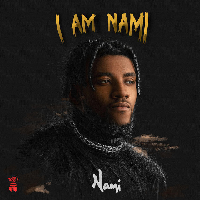 I AM NAMI cover art