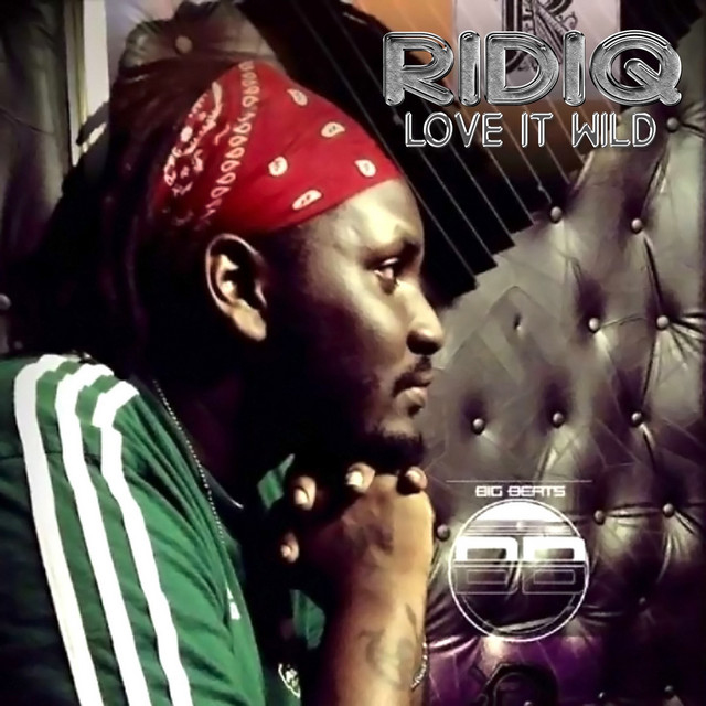Love It Wild cover