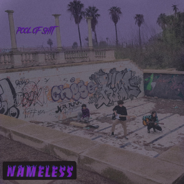 pool of shit cover art