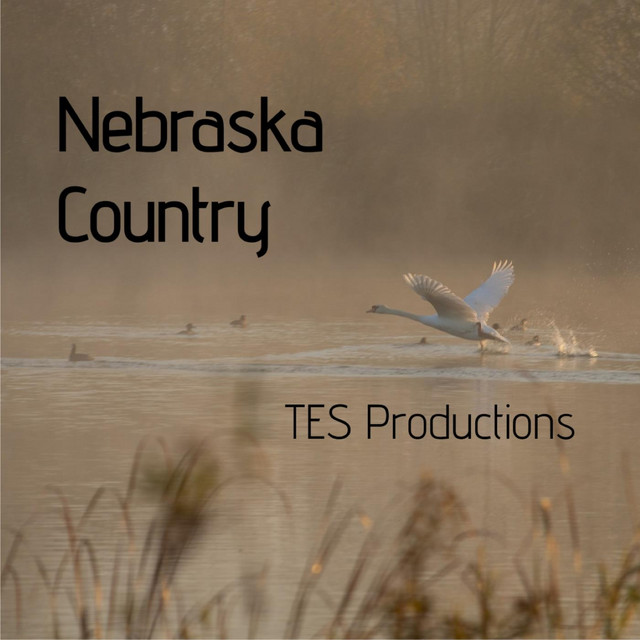 Nebraska Country cover art