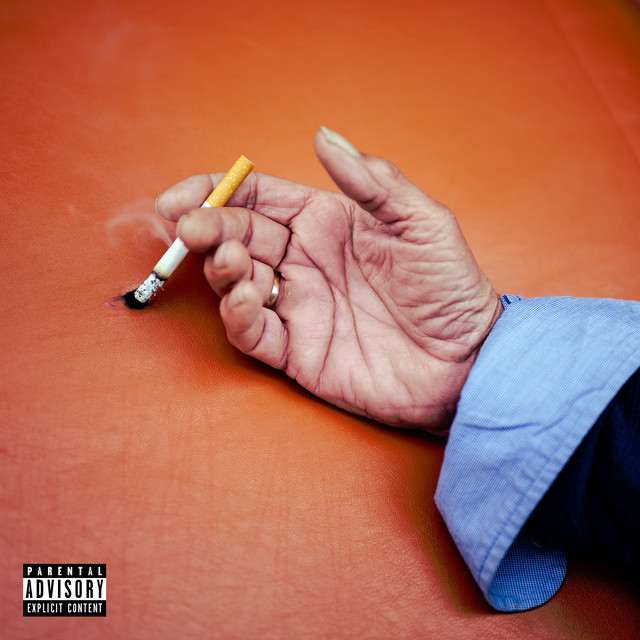 You're Welcome For Having Us cover art