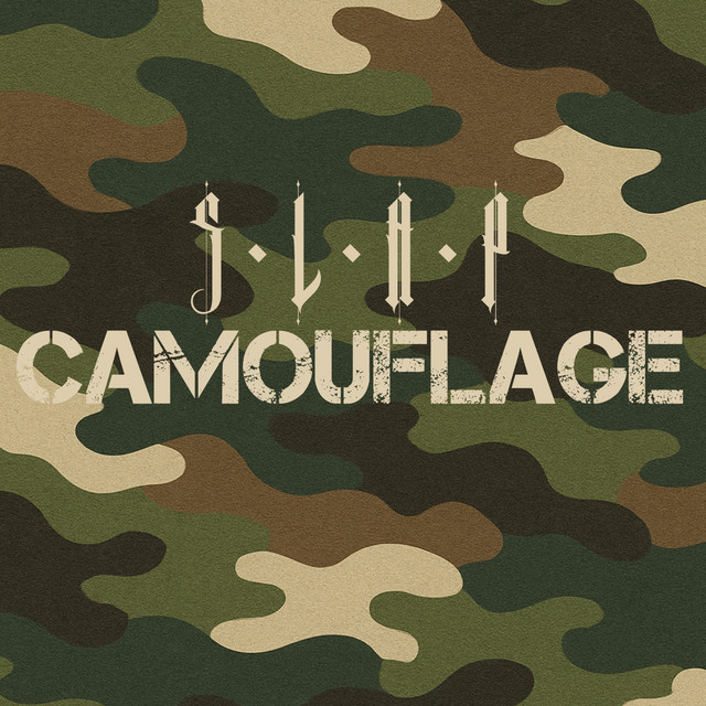 Camouflage