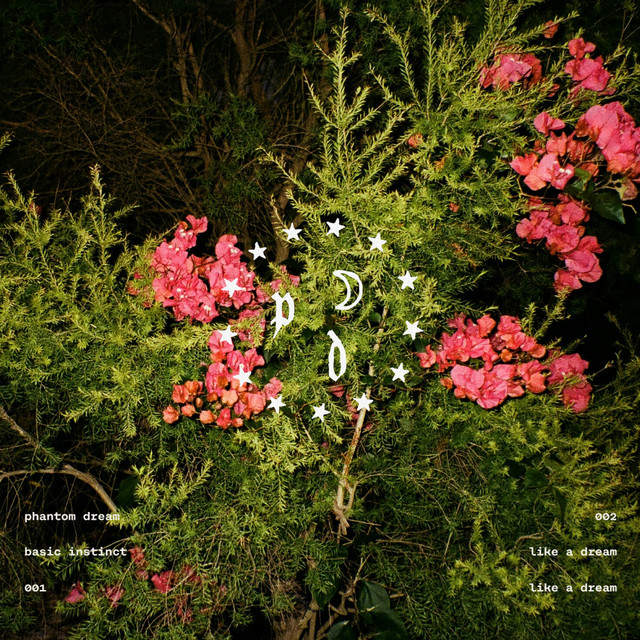 like a dream cover art