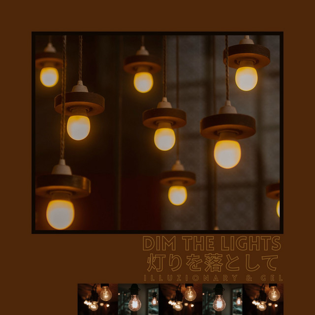 Dim the Lights album image