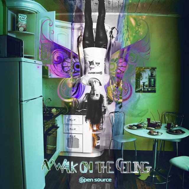 A Walk on the Ceiling cover art