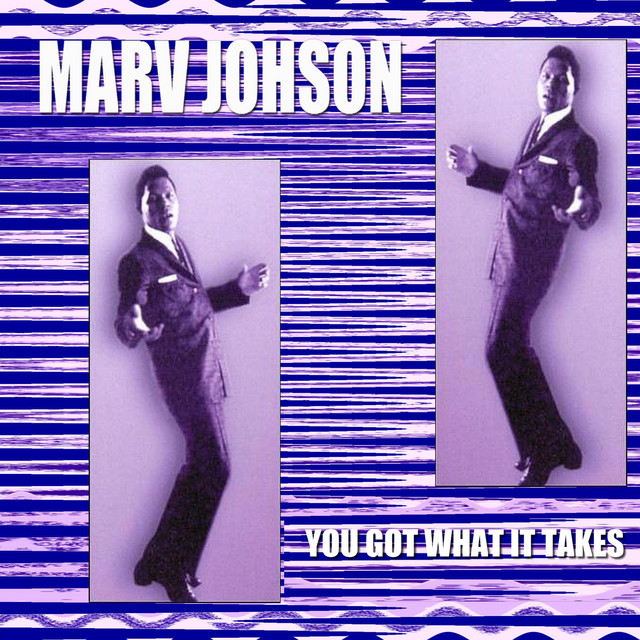 You Got What It Takes cover art