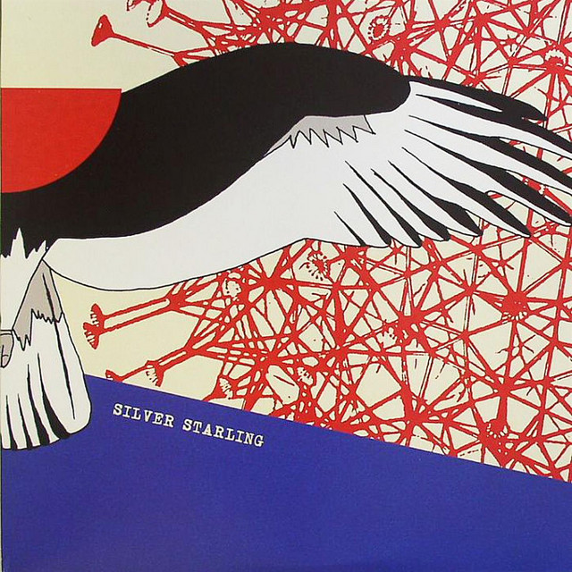 Silver Starling Photo