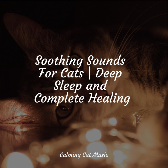 Soothing Sounds For Cats | Deep Sleep and Complete Healing - Album by ...