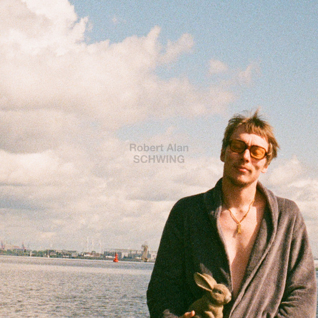 Schwing cover art