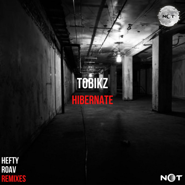 Cover art for Tobikz — Hibernate