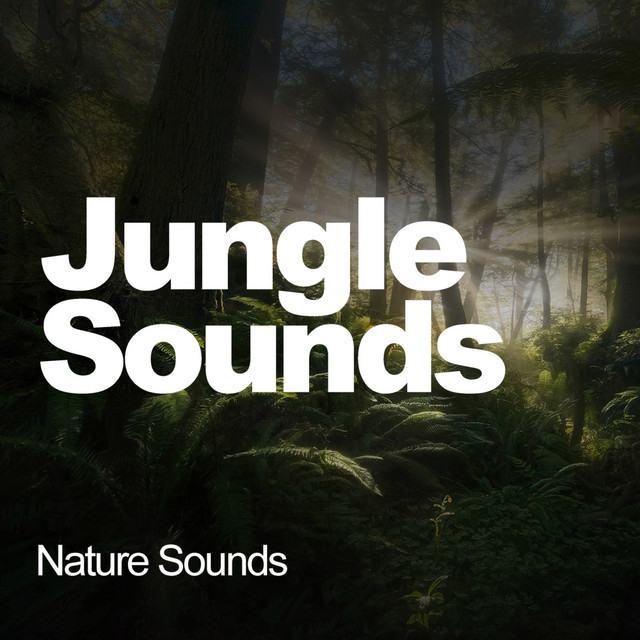 Jungle Sounds cover art