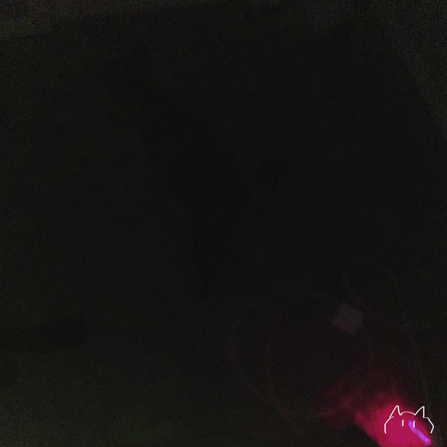Queen Of Rot cover art