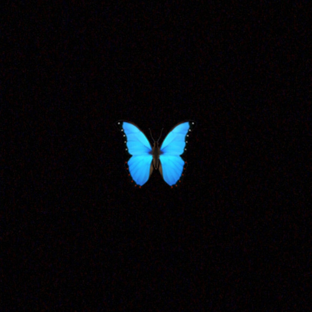 YALAN cover art
