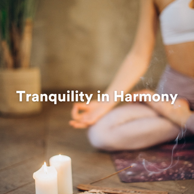 Tranquility in Harmony cover art