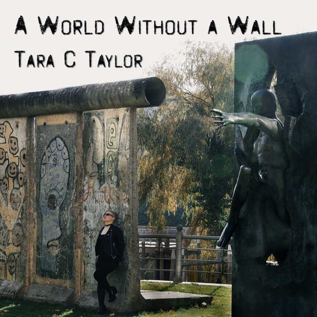 A World Without A Wall cover