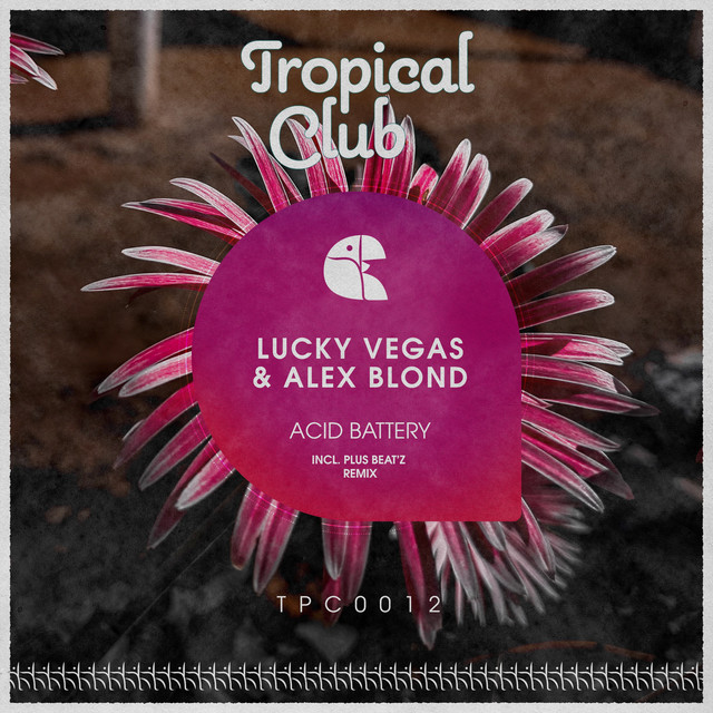 Acid Battery - Plus Beat'Z Remix Radio-Edit cover art