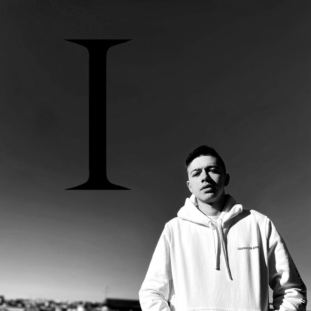 LEVEL 1 cover art