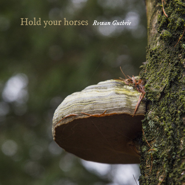 Hold your horses album image