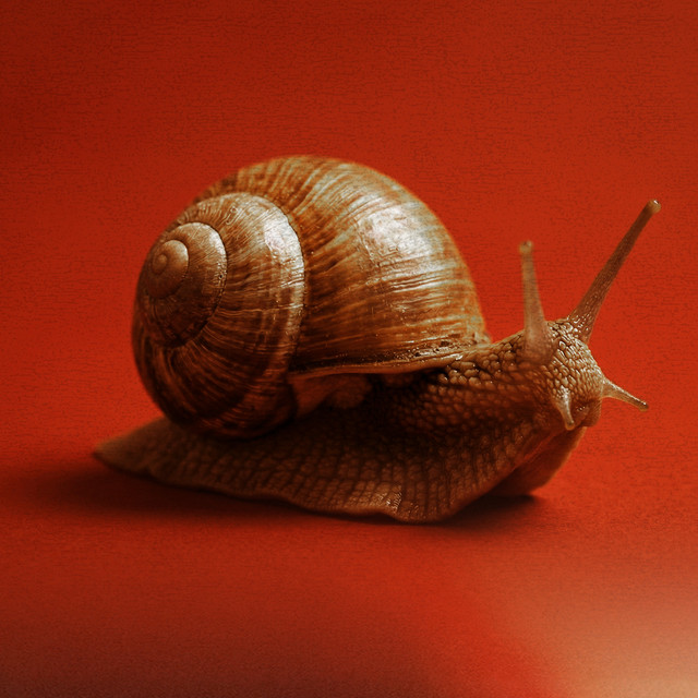 Não Existe Cura by A Última Theoria