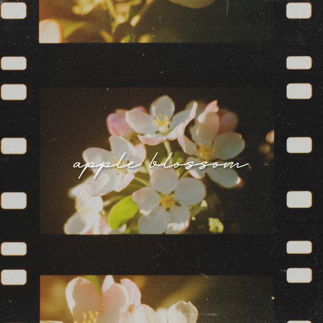 Apple Blossom