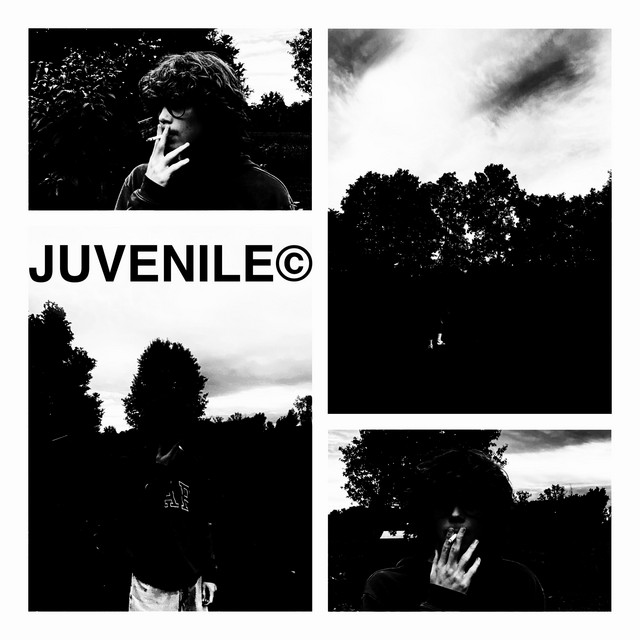 Juvenile cover art