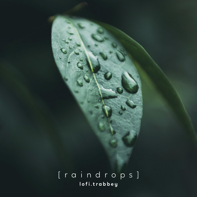 Raindrops
