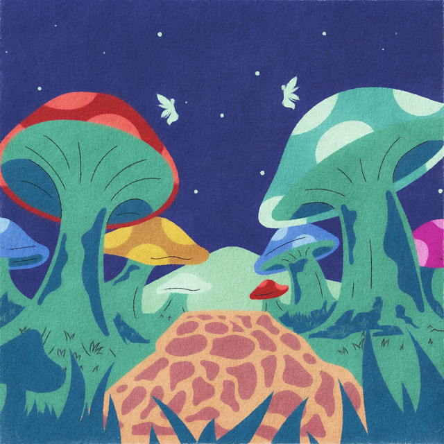 First light cover art