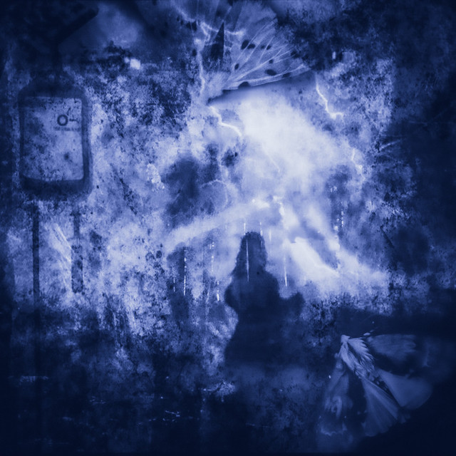 Braid Your Hair — Forest