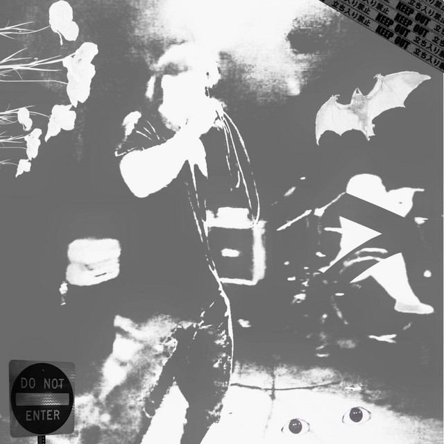 SKELETON cover art