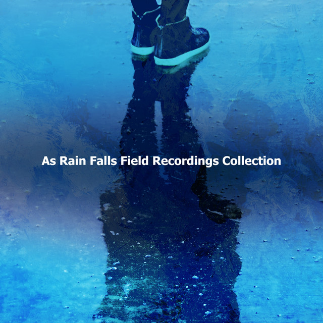 As Rain Falls Field Recordings Collection - Album by Pro Sound Effects ...
